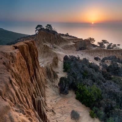 Torrey Pines cliffs at sunset